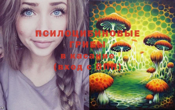 стафф Армянск