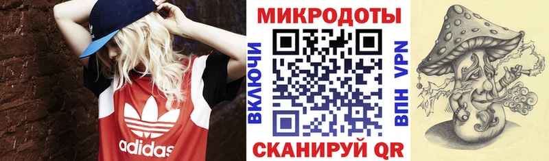 Псилоцибиновые грибы прущие грибы  Ивдель 